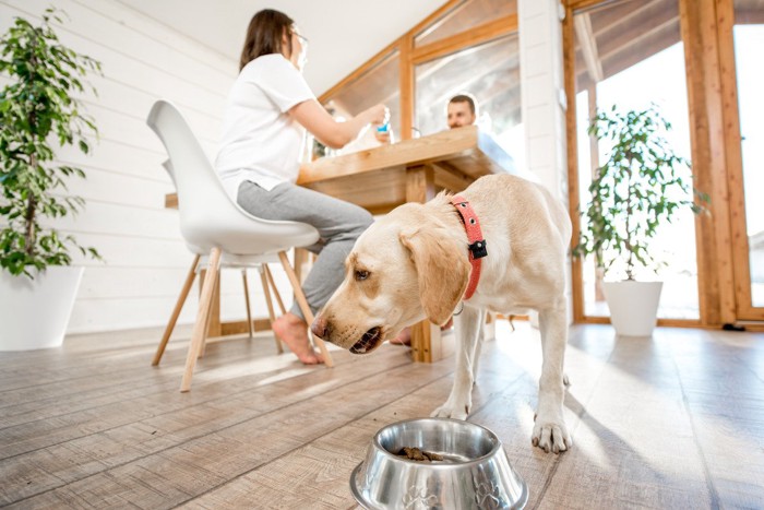 テーブルに座る夫婦とご飯を食べる犬