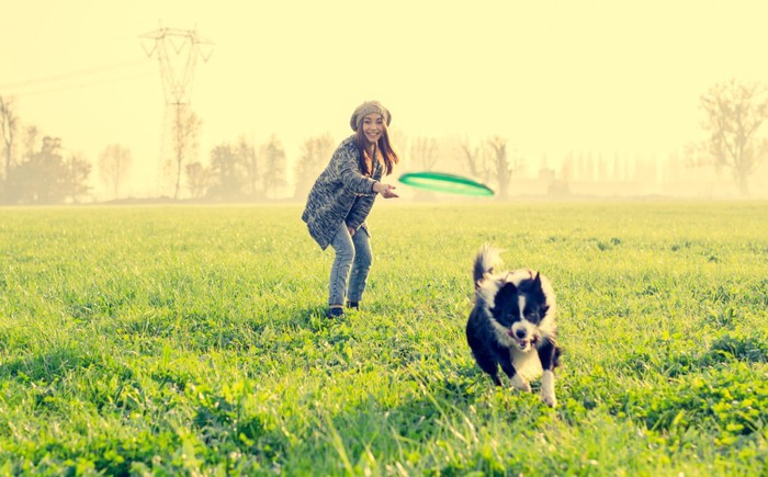 フリスビーを投げる女性と犬