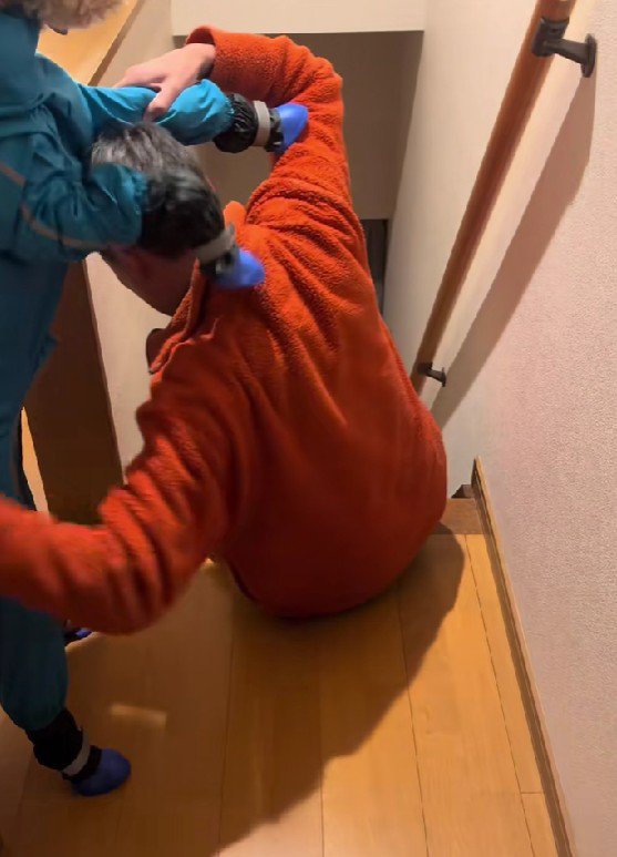 人間かと思いきや…?