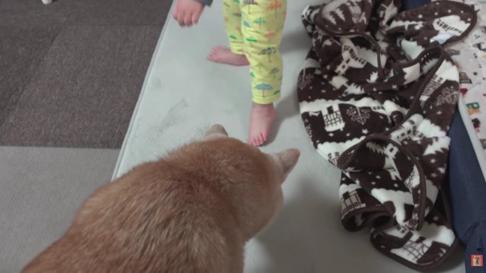 みーくんとの交流