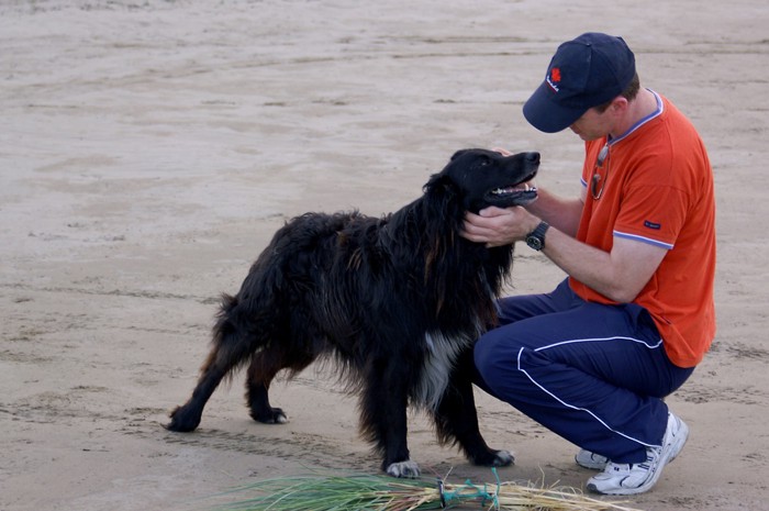 飼い主に褒められている犬