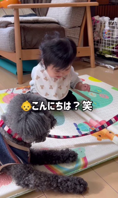 独特な「こんにちは」