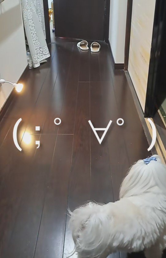 扉がゆっくりと開くと…