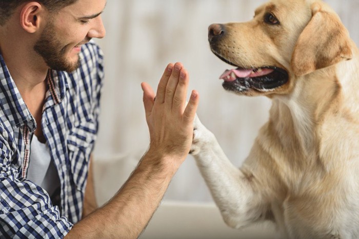 タッチする男性と犬