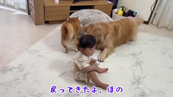 うにくんに獲られちゃった！