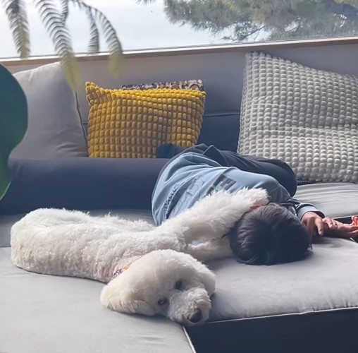 ソファに寝転がる男の子とそばに寄り添う犬