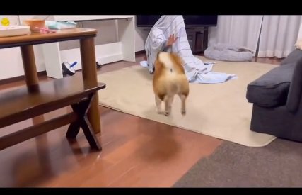 マリちゃんに気づいたロックくん
