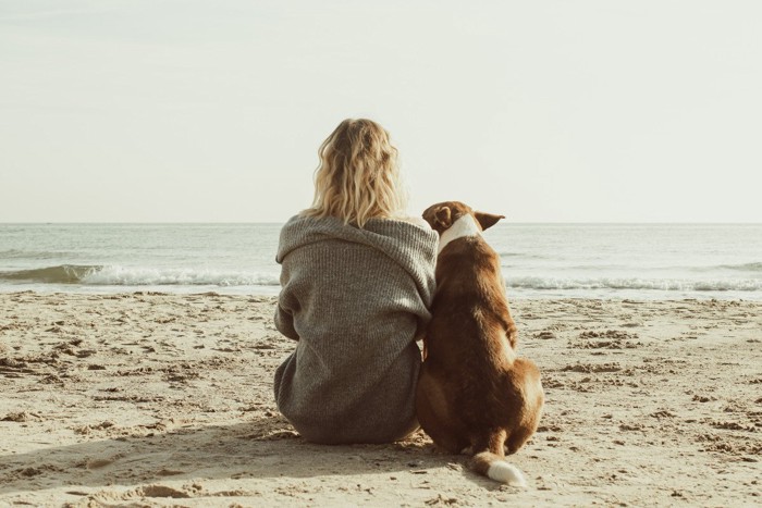 寄り添って座る犬と女性