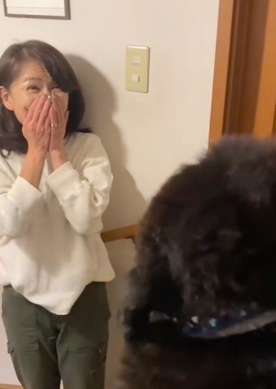 びっくりする投稿主さん