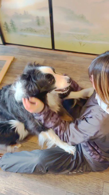 座っている女性に手を伸ばす犬