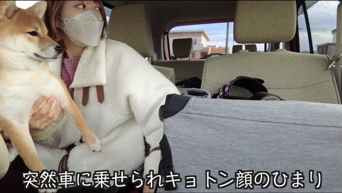 犬を抱えながら車に乗る女性