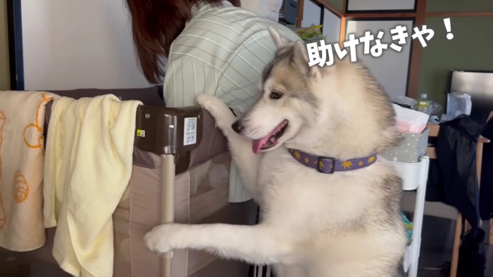 「どうしたの！？」