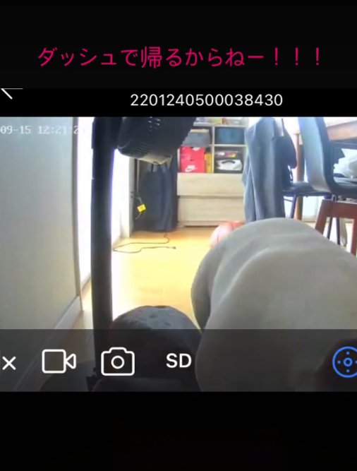 うつむく犬1