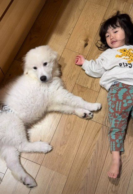 とと丸ちゃんと2歳の女の子
