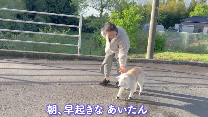 穏やかな朝散歩