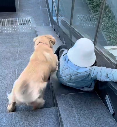 滑る子供と犬