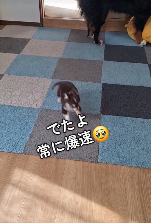 元気いっぱい♪