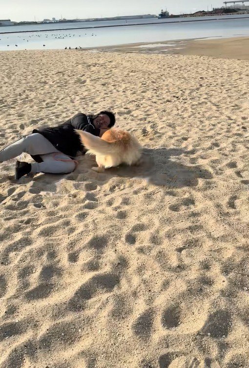 海辺でのハプニング8