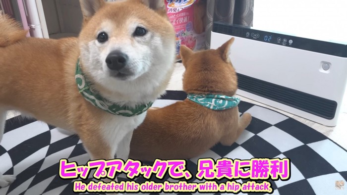 場所を奪い取ることに成功