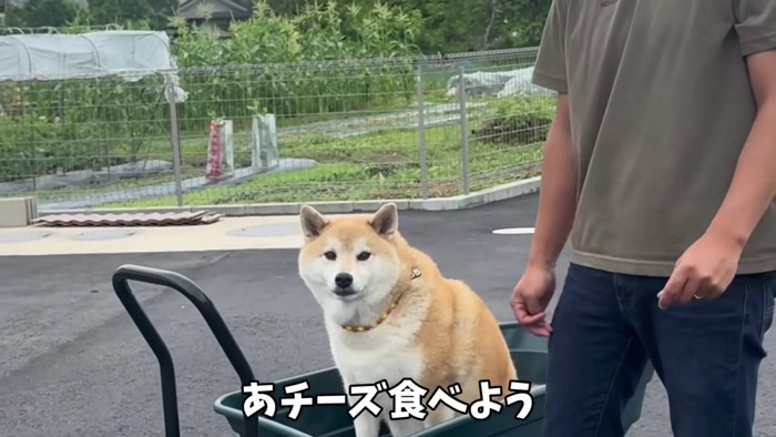 「チーズ食べよう」