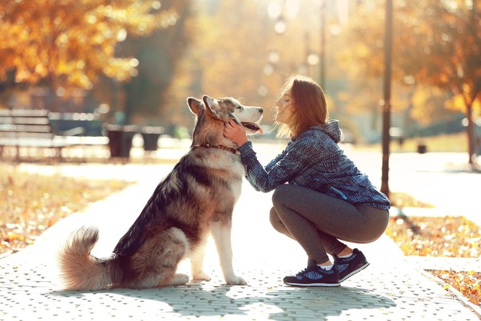 向き合って犬の顔に手を置く人