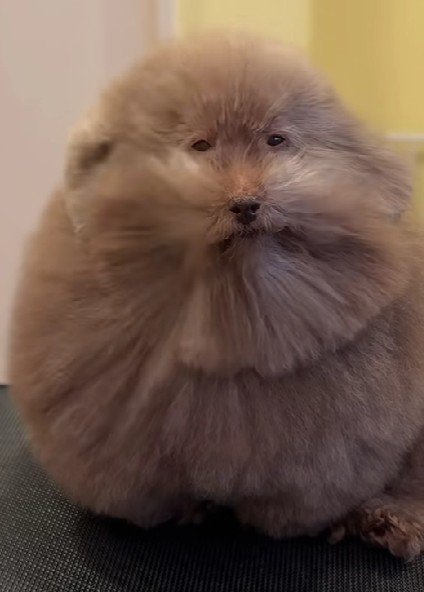 哀愁たっぷり