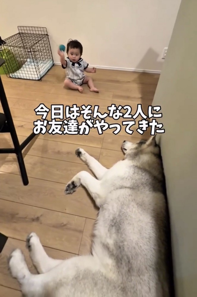 くつろぐ犬のそばで遊ぶ赤ちゃん