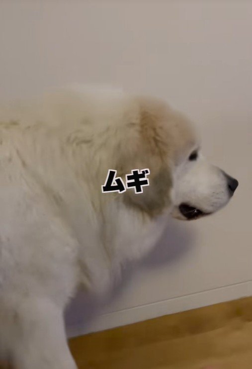 すぐに前を向いて…