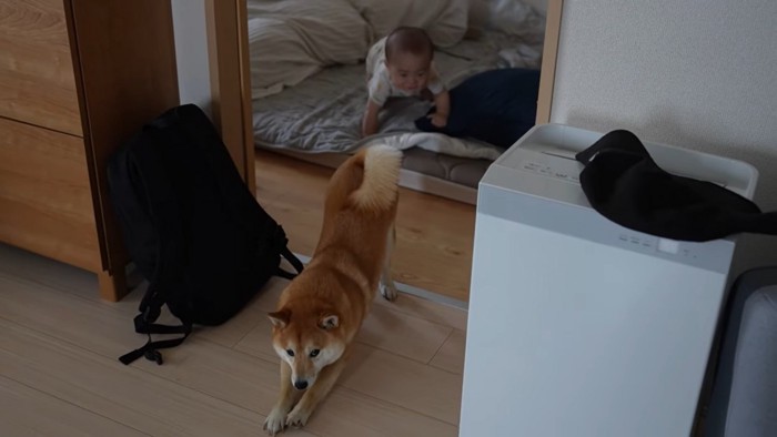 伸びをする犬と赤ちゃん