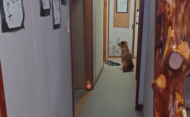 看板犬