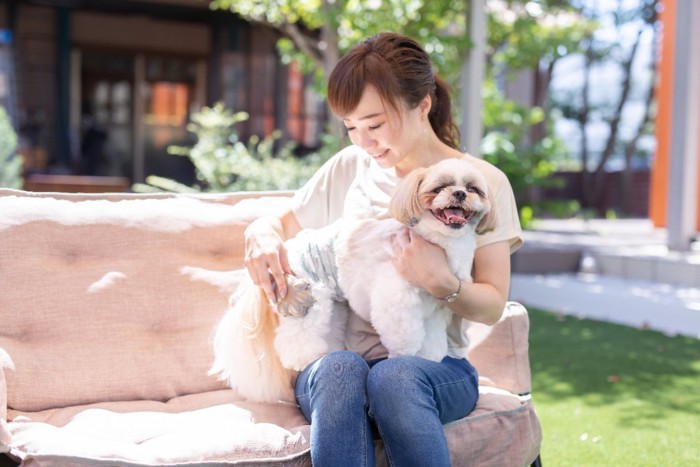 ブラッシングしてもらう犬