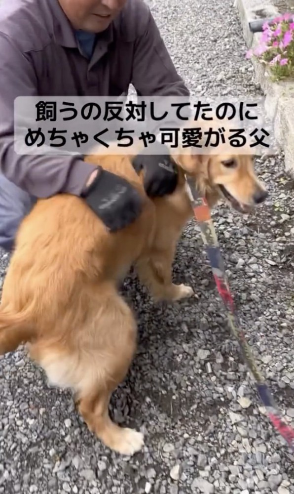 楽しそう！！