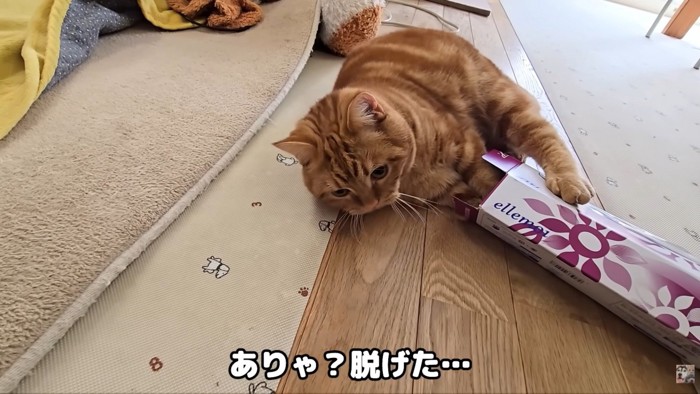 自力で頭を抜いたと思ったら…