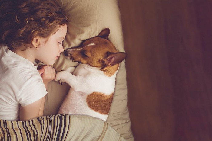 子どもと一緒にベッドで寝ている犬