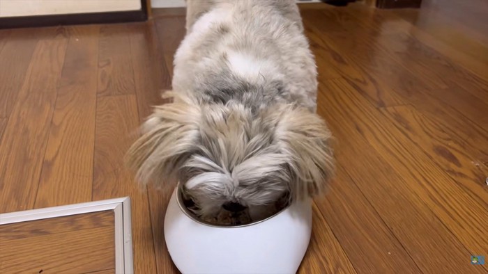 いつも通り食欲旺盛！