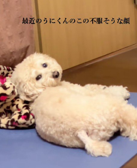 不思議なクセ