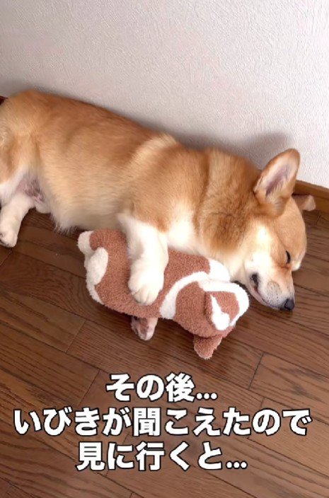 いびきをかいて熟睡中