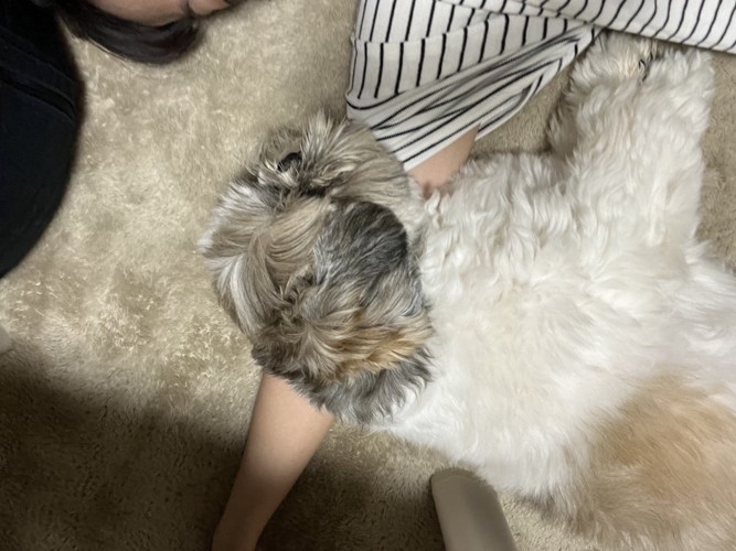 クセ