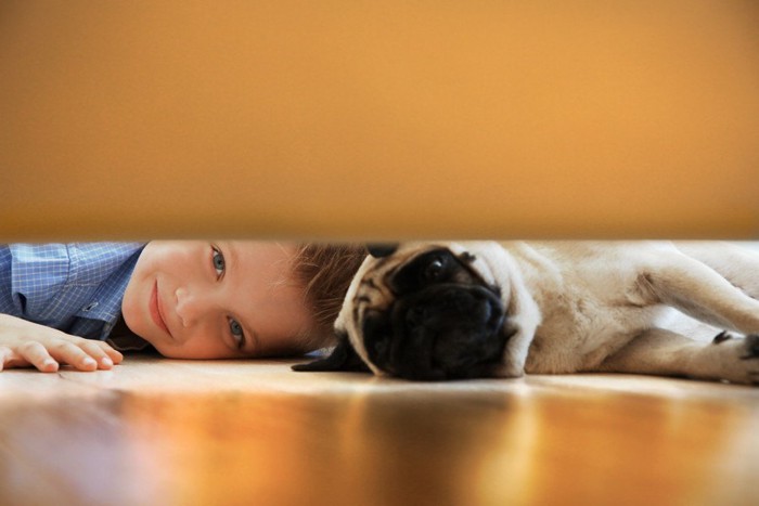 ドアの下からのぞきこむ犬と子ども