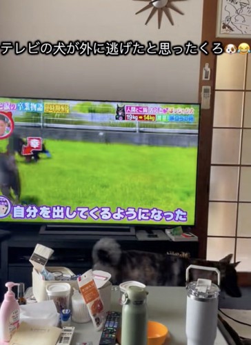 「やっぱり外にいるはず…」