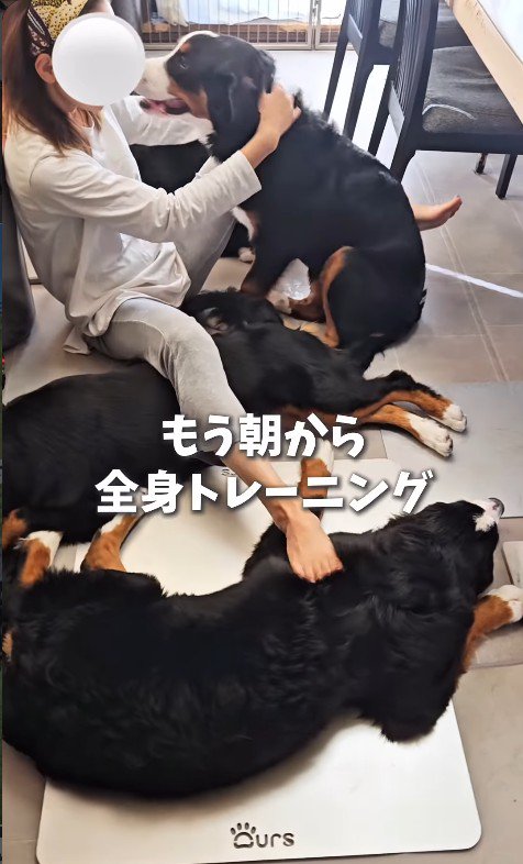 忙しいけれど幸せそう♡