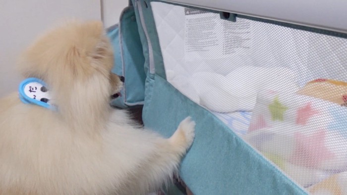 赤ちゃんがベッドから離れても…