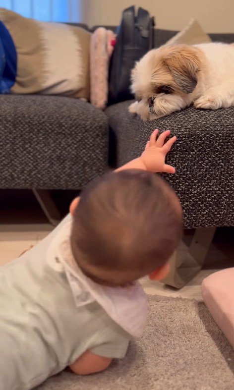 赤ちゃんが大好きなピコちゃん3