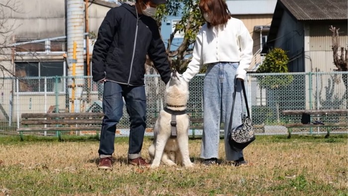 飼い主夫婦の間に座る犬