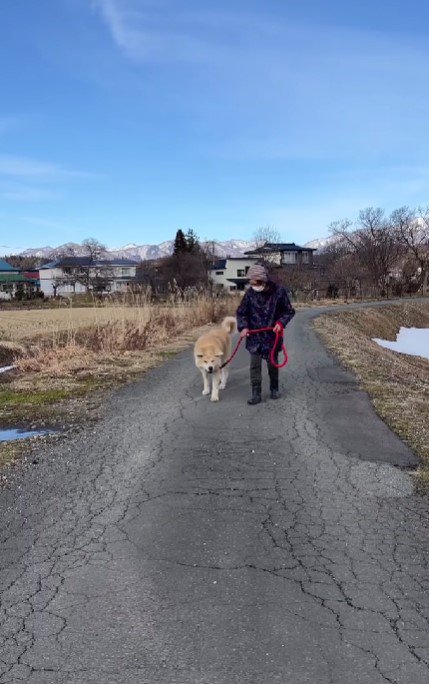 美しい光景に心温まる