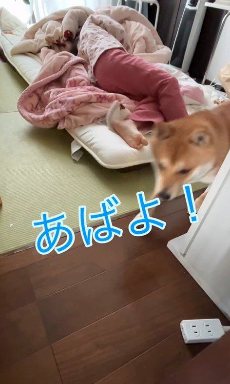 部屋から出て行ったかと思いきや…