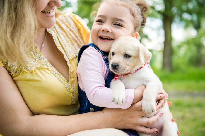 ラブラドールレトリーバーの子犬と少女と女性