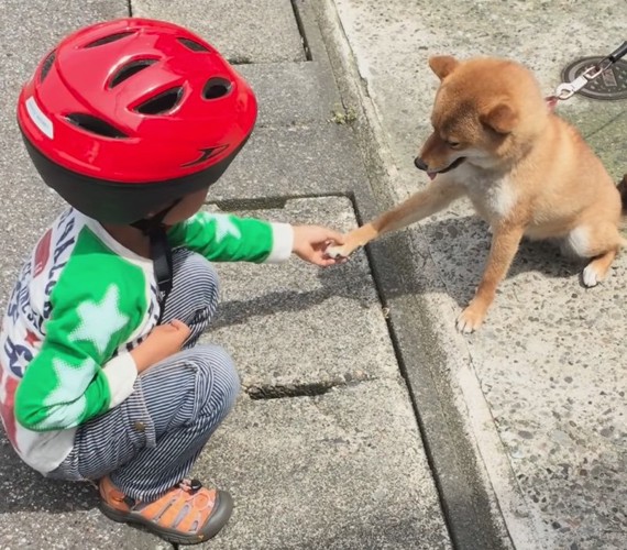 優しく指で前足をさすってあげています