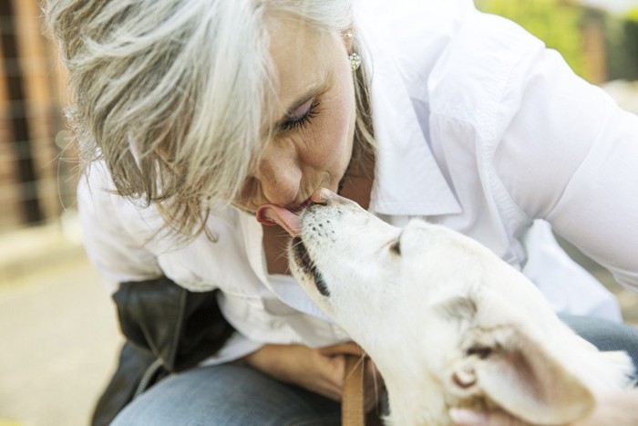 年配の女性とキスする犬