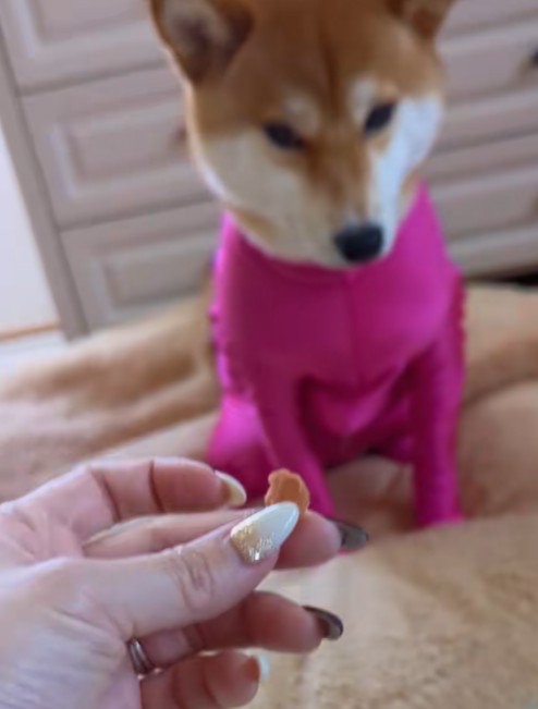 身動きひとつしない！！